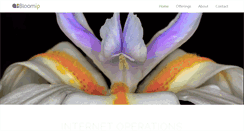Desktop Screenshot of bloomip.com